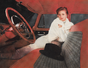 She: "It's not easy being a mummy." motor meme