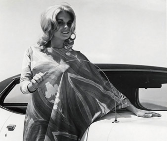 Remember when girls threw themselves at your car because they liked you? motor meme