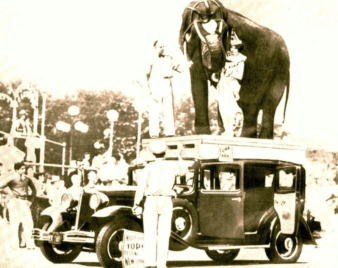 He: "There's an elephant on your roof?"<br>
They: "Screw Trump!" motor meme