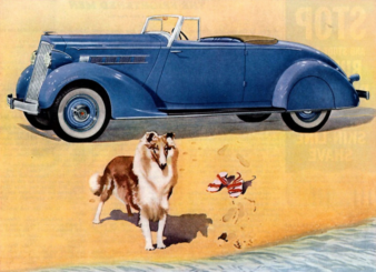 Lassie: "Wear a mask, Timmy!" motor meme