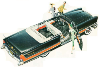 She: "How quaint! Reversible seat cushions will be so convenient for when Fifi gets carsick." motor meme