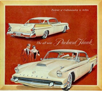 She: "This reminds me. Did you feed the koi?" motor meme