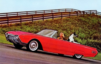 Everything was great, except Sheila didn't own a dog. motor meme