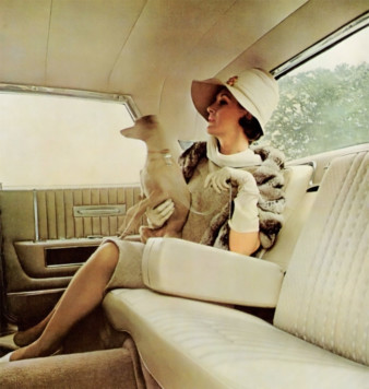 "Siri, play 'Black Betty' by Ram Jam." motor meme