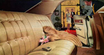 Valet: "Sorry, ma'am. I ran over your dog." motor meme