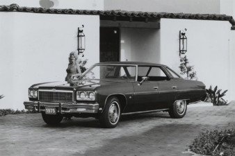 Shelia didn't sell Avon. motor meme