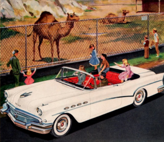 This is the day when Peggy Sue learned that camels spit. motor meme