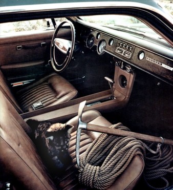 Jim's rock climbing went great until the cougar cub's mother came back. motor meme