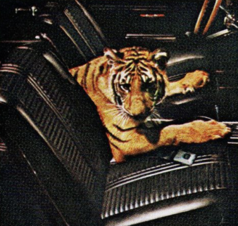 This is what happens when your Pontiac gets a hole in the gas tank. motor meme